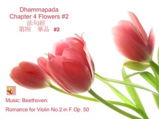 Dhammapada Chapter 4 Flowers #2 法句經  第四  華品  #2 Music: Beethoven:  Romance for Violin No.2 in F Op. 50 