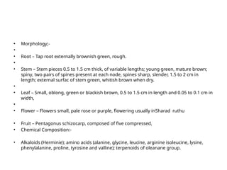 Introduction to dhamsa ( Fagonia ceretica).pptx