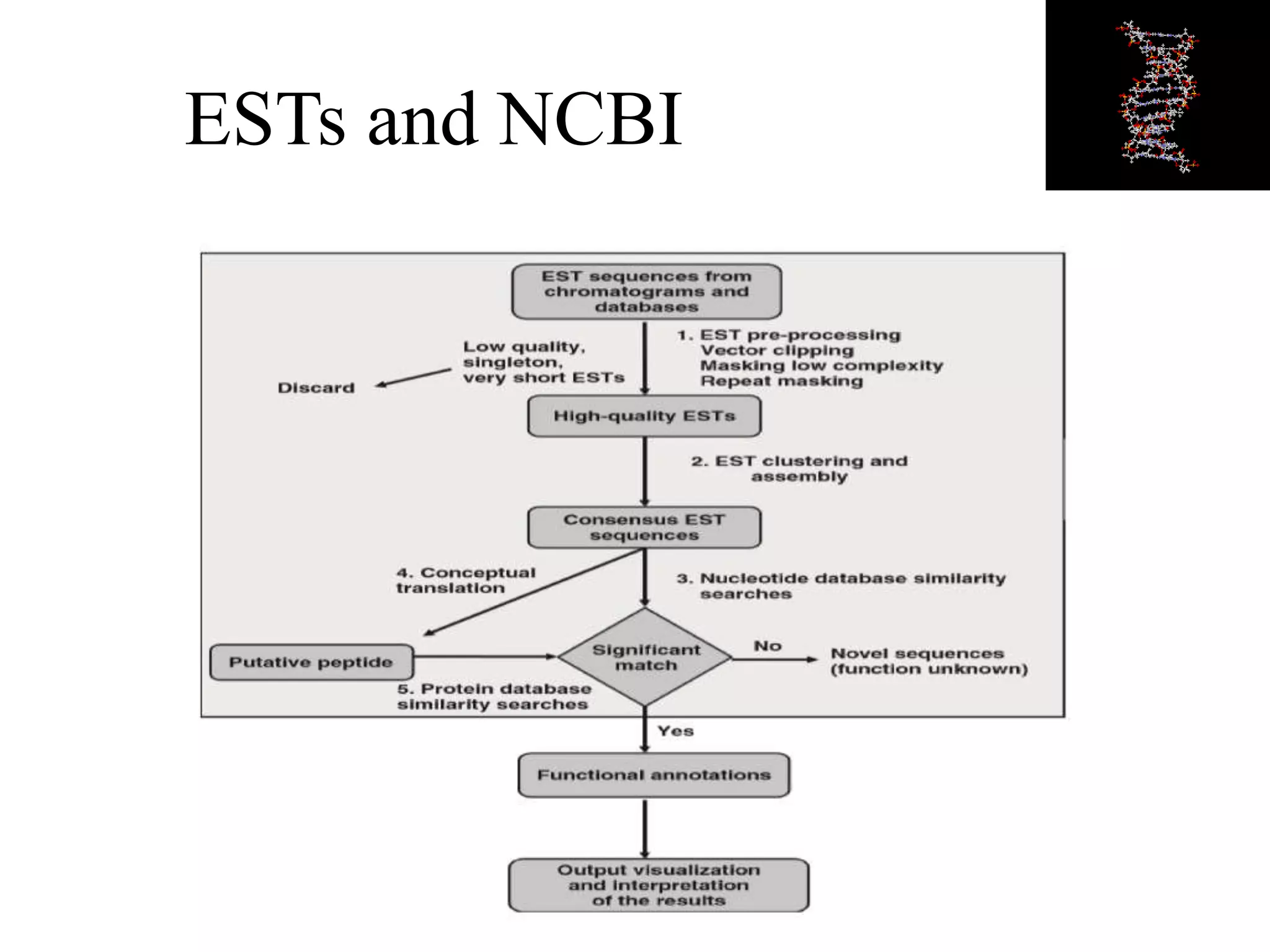 ESTs and NCBI
 