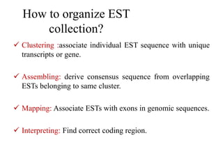 How to organize EST
collection?
 Clustering :associate individual EST sequence with unique
transcripts or gene.
 Assembling: derive consensus sequence from overlapping
ESTs belonging to same cluster.
 Mapping: Associate ESTs with exons in genomic sequences.
 Interpreting: Find correct coding region.
 