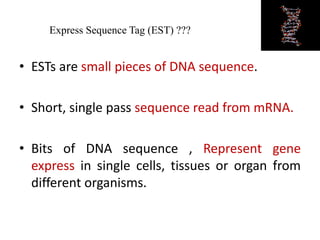 Express Sequence Tag (EST) ???
• ESTs are small pieces of DNA sequence.
• Short, single pass sequence read from mRNA.
• Bits of DNA sequence , Represent gene
express in single cells, tissues or organ from
different organisms.
 
