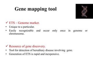 Gene mapping tool
 ETS – Genome marker.
• Unique to a particular.
• Easily recognizable and occur only once in genome or
chromosome.
 Resource of gene discovery.
• Tool for detection of hereditary disease involving gene.
• Generation of ETS is rapid and inexpensive.
 
