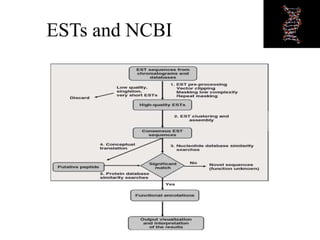 ESTs and NCBI
 