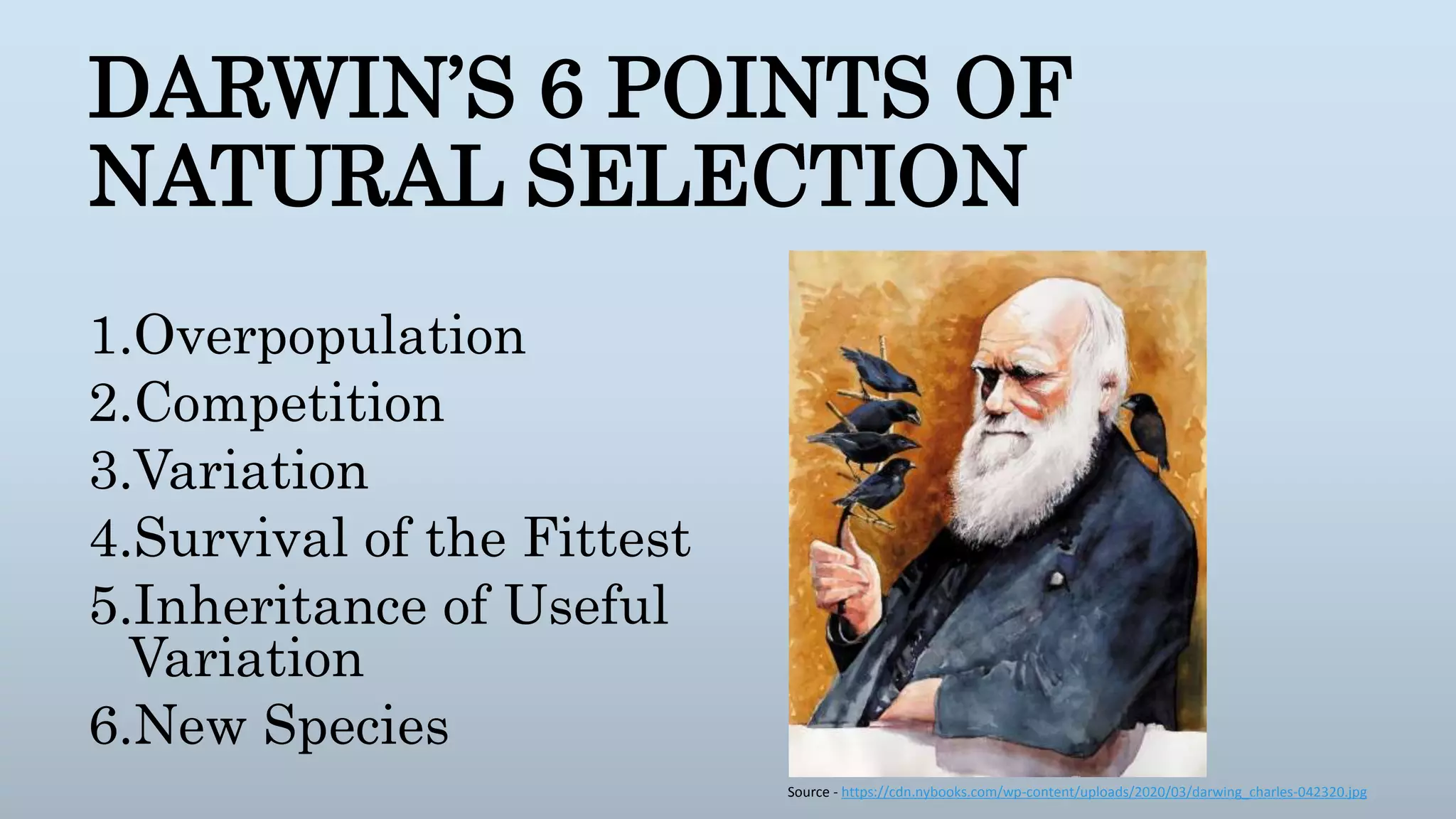 Netural Selection Natural selection | PPTX