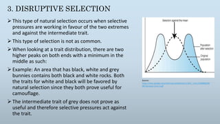 Natural selection | PPTX