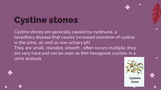 Cystine stones are generally caused by cystinuria, a
hereditary disease that causes increased excretion of cystine
in the urine, as well as low urinary pH.
They are small, rounded, smooth , often occurs multiple ,they
are very hard and can be seen as thin hexagonal crystals in a
urine analysis
Cystine stones
 