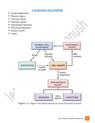 pathology-cell _injury.pdf