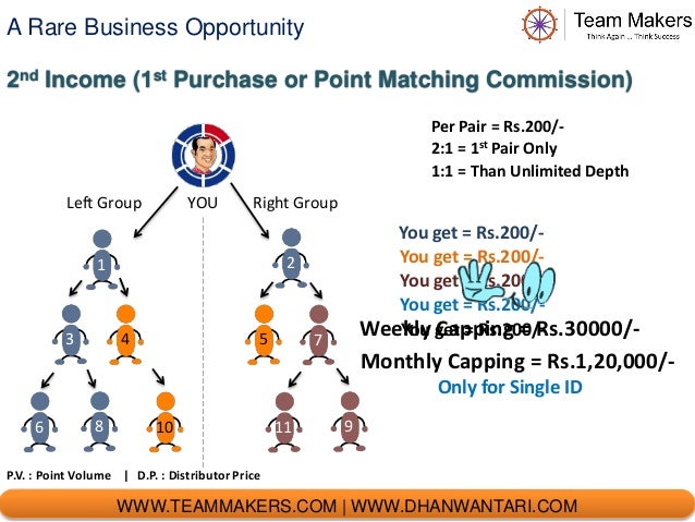 Dhanwantari business plan ppt picture