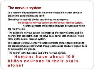 The nervous system
 is a network of specialized cells that communicate information about an
organism's surroundings and itself.
The nervous system is divided broadly into two categories:
          the peripheral nervous system and the central nervous system.
               Neurons generate and conduct impulses between and within
the two systems.
 The peripheral nervous system is composed of sensory neurons and the
neurons that connect them to the nerve cord, spinal cord and brain, which
make up the central nervous system.
In response to stimuli, sensory neurons generate and propagate signals to
the central nervous system which then processes and conducts signals back
to the muscles and glands.
 The neuron is the functional unit of the nervous system.
     H u m a n s h a v e a b o u t 10 0
b illio n n e u r o n s in t h e ir b r a in
a lo n e !
 