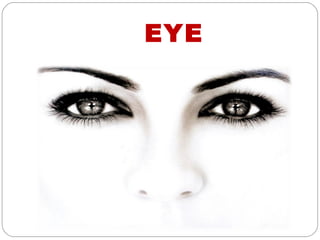 EYE
 