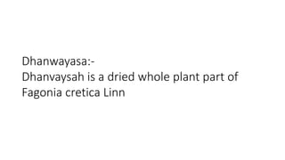 Dhanwayasa:- 
Dhanvaysah is a dried whole plant part of 
Fagonia cretica Linn 
 