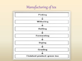 Manufacturing of tea
 