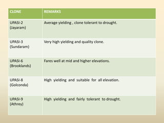 CLONE REMARKS
UPASI-2
(Jayaram)
Average yielding , clone tolerant to drought.
UPASI-3
(Sundaram)
Very high yielding and quality clone.
UPASI-6
(Brooklands)
Fares well at mid and higher elevations.
UPASI-8
(Golconda)
High yielding and suitable for all elevation.
UPASI-9
(Athrey)
High yielding and fairly tolerant to drought.
 