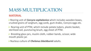 Multiplication Breeding mass production of bio agents and bio pesticides | PPTX