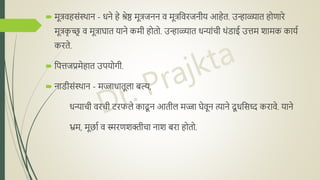  मूिवहसंस्थाि - धिे हे श्रेष्ठ मूिजिि व मूिनवरजिीय आहेत. उन्हाळ्यात होणारे
मूिक
ृ च्छ्
र व मूिाघात यािे कमी होतो. उन्हाळ्यात धन्यांची थंडाई उिम शामक कायद
करते.
 नपिजप्रमेहात उपयोगी.
 िाडीसंस्थाि - मज्जाधातूला बोल्य,
धन्याची वरची टरफले काढू ि आतील मज्जा घेवूि त्यािे िू धनसध्ि करावे. यािे
भ्रम, मूछाद व स्मरणशक्तीचा िाश बोरा होतो.
 