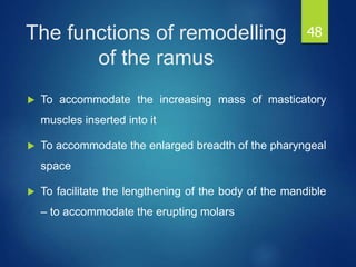 Post-natal Growth of Maxilla and Mandible | PPT