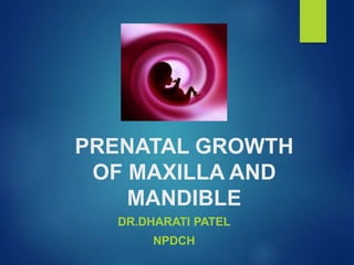 PRENATAL GROWTH
OF MAXILLA AND
MANDIBLE
DR.DHARATI PATEL
NPDCH
 