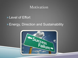 Motivation
Level of Effort
Energy, Direction and Sustainability
 