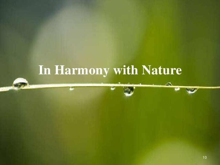 People lived in harmony with. Be in Harmony with the nature.