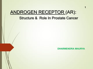 ANDROGEN RECEPTOR (AR):
Structure & Role In Prostate Cancer
DHARMENDRA MAURYA
1
 