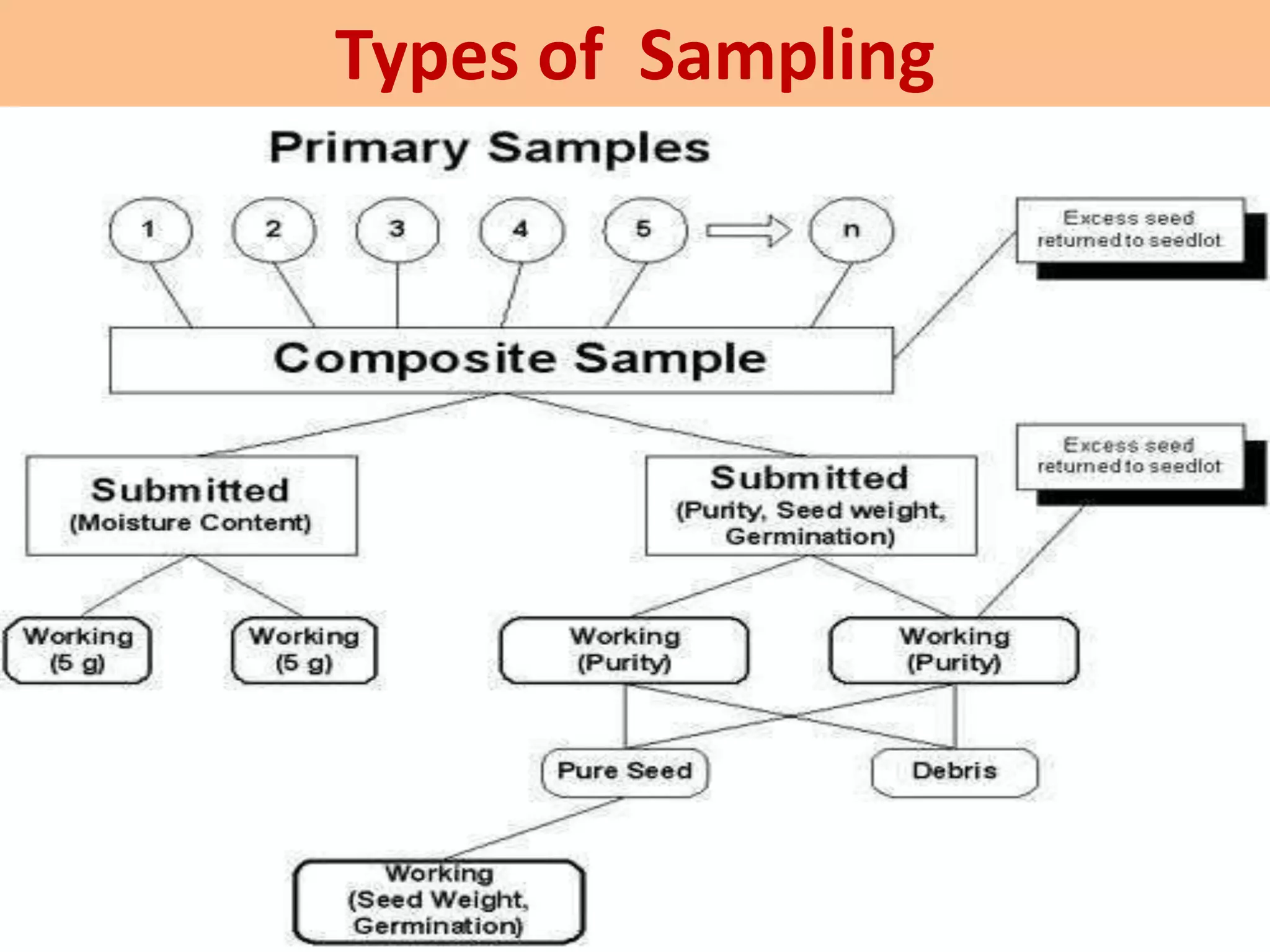 Types of Sampling
 