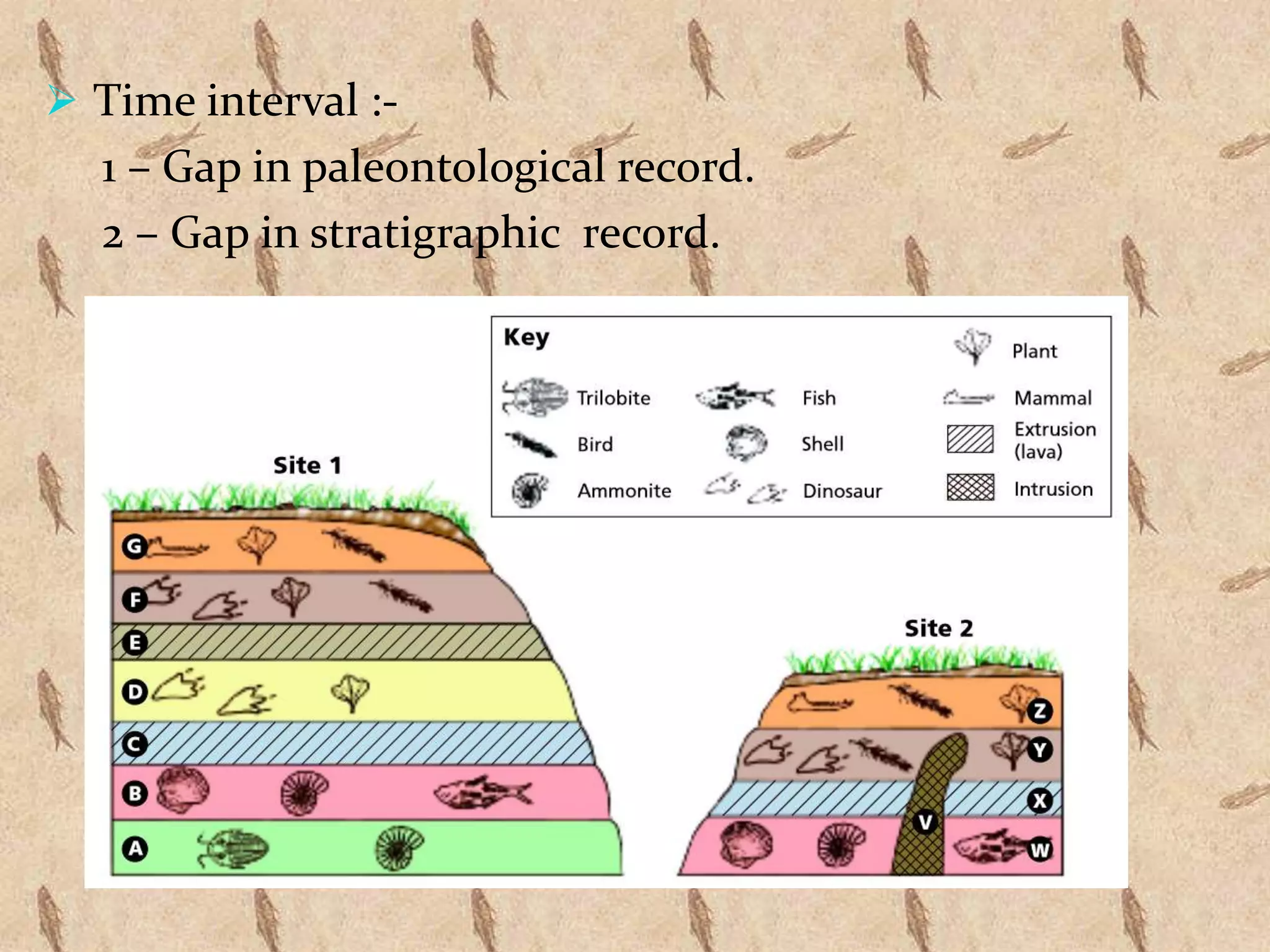  Time interval :-
1 – Gap in paleontological record.
2 – Gap in stratigraphic record.
 