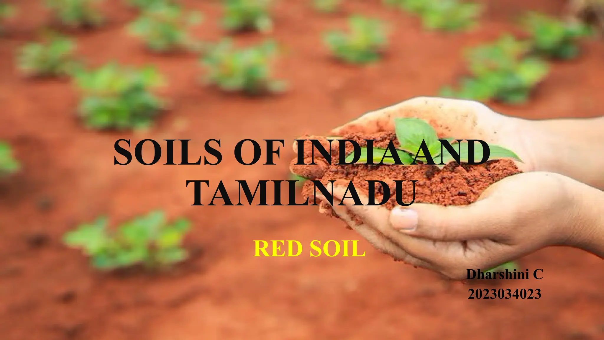 soil of india and tamilnadu soil ppt.pptx