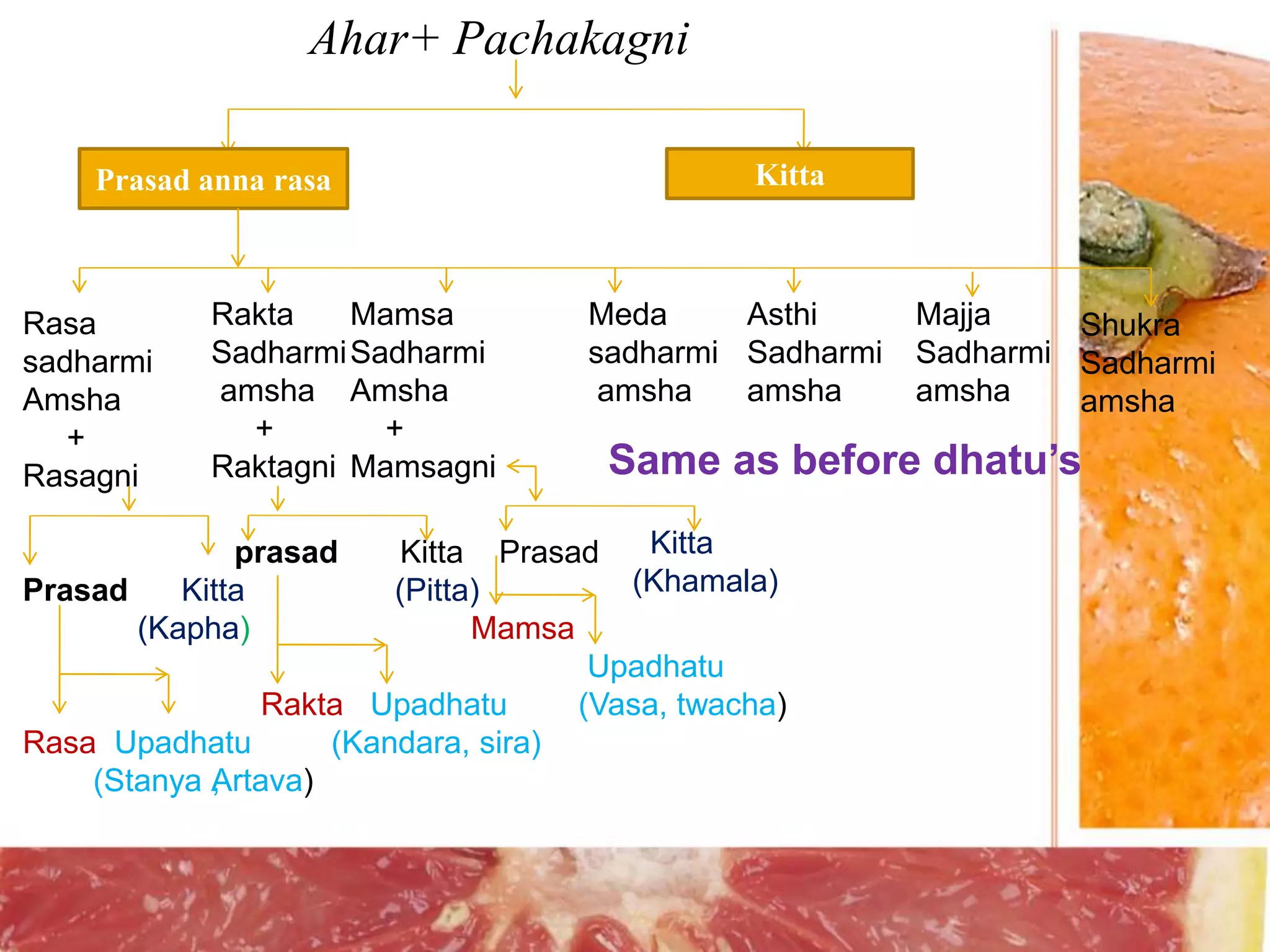 Dhatu poshan nyayas | PPTX