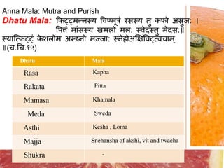Dhatu poshan nyayas | PPTX