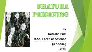 By
Natasha Puri
M.Sc. Forensic Science
(4th-Sem.)
3940
 