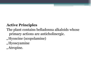 Active Principles
The plant contains belladonna alkaloids whose
primary actions are anticholinergic.
„. Hyoscine (scopolamine)
„. Hyoscyamine
„. Atropine.
 