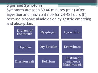 Signs and Symptoms
Symptoms are seen 30–60 minutes (min) after
ingestion and may continue for 24–48 hours (h)
because tropane alkaloids delay gastric emptying
and absorption.
Dryness of
the mouth
Dysphagia Dysarthria
Diplopia Dry hot skin Drowsiness
Drunken gait Delirium
Dilation of
cutaneous
blood vessels
 