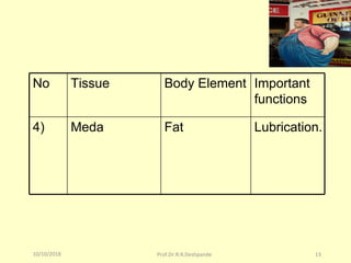 10/10/2018 Prof.Dr.R.R.Deshpande 13
No Tissue Body Element Important
functions
4) Meda Fat Lubrication.
 