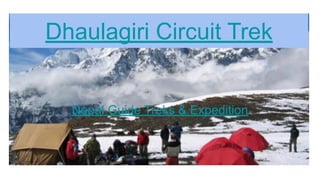 Dhaulagiri Circuit Trek
Nepal Guide Treks & Expedition
 