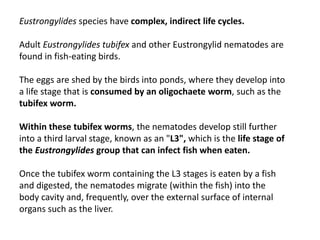 Nematodes in Fisheries