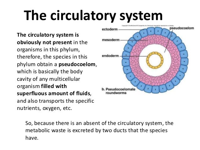 Nematodes in Fisheries