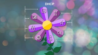 DHCP
 