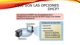 ¿QUÉ SON LAS OPCIONES
DHCP?