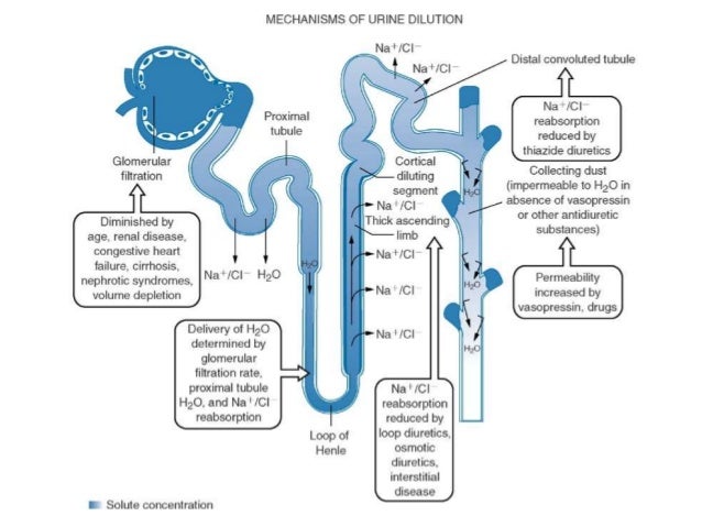 desequilibrio hidroelectrolitico