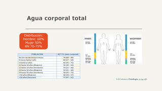 Agua corporal total
Distribución:
Hombre: 60%
Mujer 50%
RN 70-75%
 