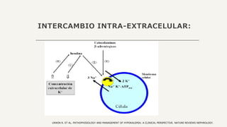 INTERCAMBIO INTRA-EXTRACELULAR:
UNWIN R. ET AL. PATHOPHISIOLOGY AND MANAGEMENT OF HYPOKALEMIA: A CLINICAL PERSPECTIVE. NATURE REVIEWS NEPHROLOGY.
 