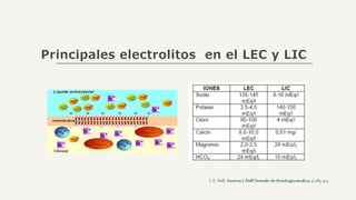 Principales electrolitos en el LEC y LIC
 