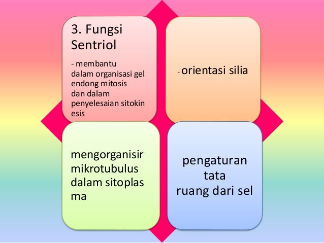 sentriol, sentrosom dan sitoskeleton