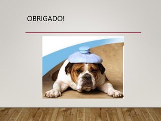 OBRIGADO!
 