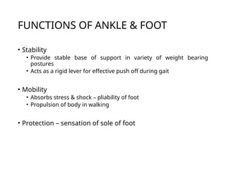 Dheeraj ankle and foot biomechanics .pptx