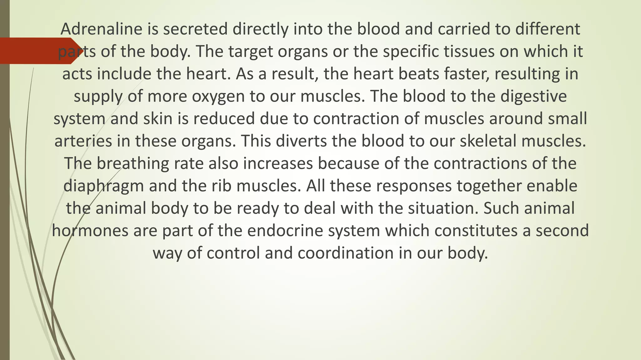 Adrenaline is secreted directly into the blood and carried to different
parts of the body. The target organs or the specific tissues on which it
acts include the heart. As a result, the heart beats faster, resulting in
supply of more oxygen to our muscles. The blood to the digestive
system and skin is reduced due to contraction of muscles around small
arteries in these organs. This diverts the blood to our skeletal muscles.
The breathing rate also increases because of the contractions of the
diaphragm and the rib muscles. All these responses together enable
the animal body to be ready to deal with the situation. Such animal
hormones are part of the endocrine system which constitutes a second
way of control and coordination in our body.
 