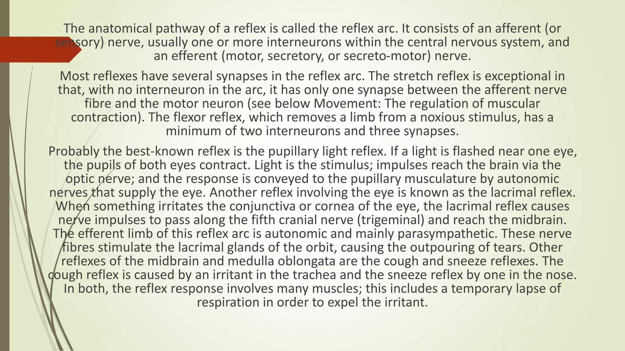 The anatomical pathway of a reflex is called the reflex arc. It consists of an afferent (or
sensory) nerve, usually one or more interneurons within the central nervous system, and
an efferent (motor, secretory, or secreto-motor) nerve.
Most reflexes have several synapses in the reflex arc. The stretch reflex is exceptional in
that, with no interneuron in the arc, it has only one synapse between the afferent nerve
fibre and the motor neuron (see below Movement: The regulation of muscular
contraction). The flexor reflex, which removes a limb from a noxious stimulus, has a
minimum of two interneurons and three synapses.
Probably the best-known reflex is the pupillary light reflex. If a light is flashed near one eye,
the pupils of both eyes contract. Light is the stimulus; impulses reach the brain via the
optic nerve; and the response is conveyed to the pupillary musculature by autonomic
nerves that supply the eye. Another reflex involving the eye is known as the lacrimal reflex.
When something irritates the conjunctiva or cornea of the eye, the lacrimal reflex causes
nerve impulses to pass along the fifth cranial nerve (trigeminal) and reach the midbrain.
The efferent limb of this reflex arc is autonomic and mainly parasympathetic. These nerve
fibres stimulate the lacrimal glands of the orbit, causing the outpouring of tears. Other
reflexes of the midbrain and medulla oblongata are the cough and sneeze reflexes. The
cough reflex is caused by an irritant in the trachea and the sneeze reflex by one in the nose.
In both, the reflex response involves many muscles; this includes a temporary lapse of
respiration in order to expel the irritant.
 