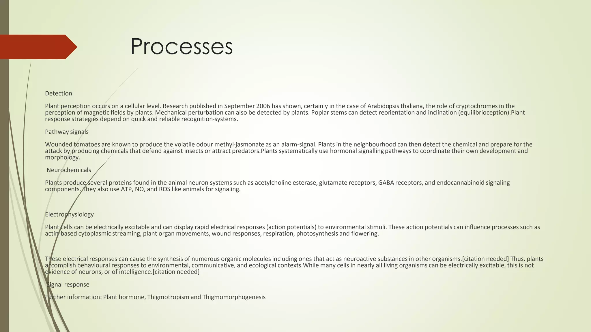Processes
Detection
Plant perception occurs on a cellular level. Research published in September 2006 has shown, certainly in the case of Arabidopsis thaliana, the role of cryptochromes in the
perception of magnetic fields by plants. Mechanical perturbation can also be detected by plants. Poplar stems can detect reorientation and inclination (equilibrioception).Plant
response strategies depend on quick and reliable recognition-systems.
Pathway signals
Wounded tomatoes are known to produce the volatile odour methyl-jasmonate as an alarm-signal. Plants in the neighbourhood can then detect the chemical and prepare for the
attack by producing chemicals that defend against insects or attract predators.Plants systematically use hormonal signallingpathways to coordinate their own development and
morphology.
Neurochemicals
Plants produce several proteins found in the animal neuron systems such as acetylcholine esterase, glutamate receptors, GABA receptors, and endocannabinoid signaling
components. They also use ATP, NO, and ROS like animals for signaling.
Electrophysiology
Plant cells can be electrically excitable and can display rapid electrical responses (action potentials) to environmental stimuli. These action potentials can influence processes such as
actin-based cytoplasmic streaming, plant organ movements, wound responses, respiration, photosynthesis and flowering.
These electrical responses can cause the synthesis of numerous organic molecules including ones that act as neuroactive substances in other organisms.[citation needed] Thus, plants
accomplish behavioural responses to environmental, communicative, and ecological contexts.While many cells in nearly all living organisms can be electrically excitable, this is not
evidence of neurons, or of intelligence.[citation needed]
Signal response
Further information: Plant hormone, Thigmotropism and Thigmomorphogenesis
 