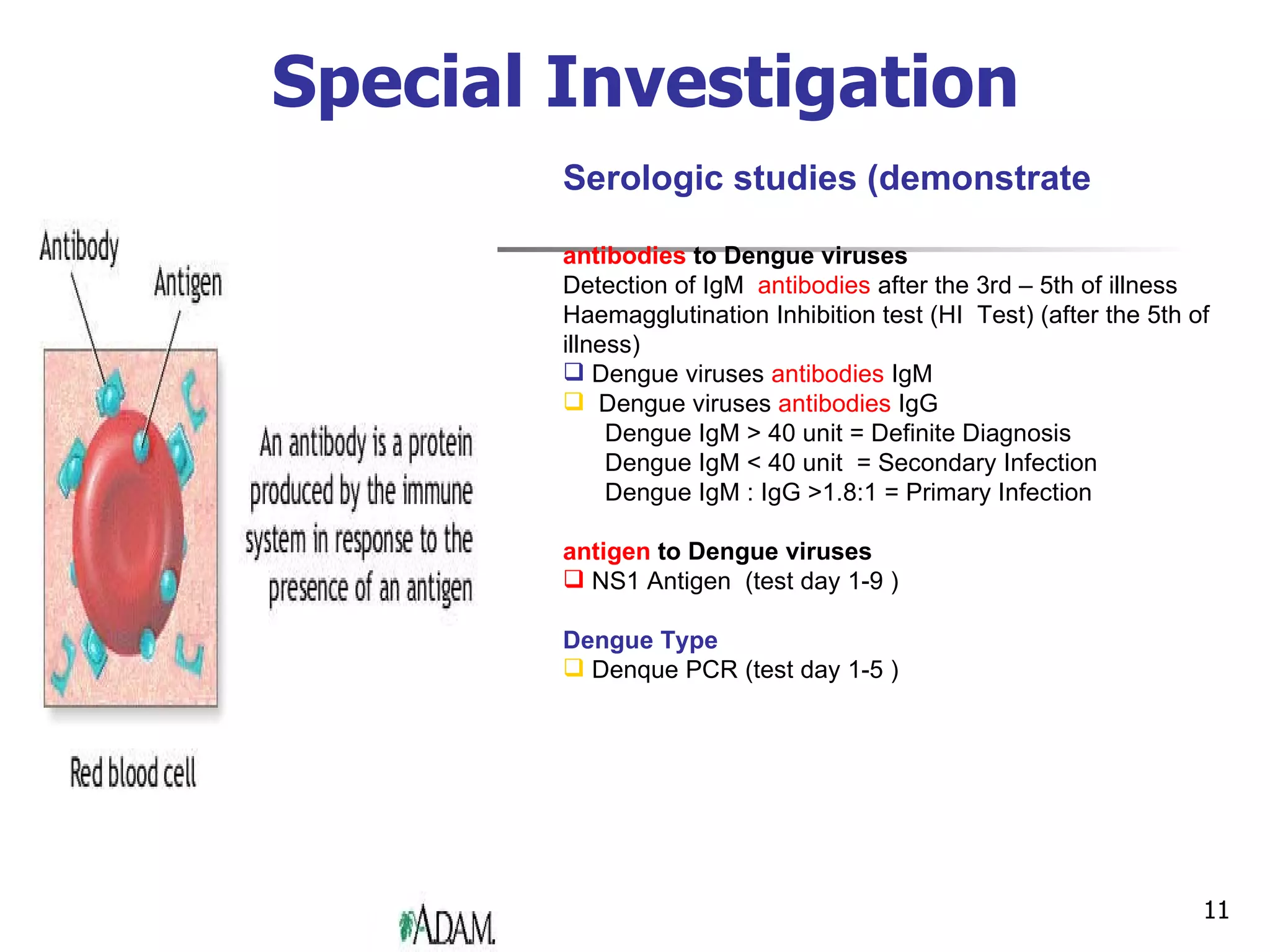 Special Investigation Serologic studies (demonstrate antibodies  to Dengue viruses Detection of IgM  antibodies   after the 3rd – 5th of illness Haemagglutination Inhibition test (HI  Test) (after the 5th of illness)  Dengue viruses  antibodies   IgM  Dengue viruses  antibodies   IgG Dengue IgM > 40 unit = Definite Diagnosis Dengue IgM < 40 unit  = Secondary Infection Dengue IgM : IgG >1.8:1 = Primary Infection  antigen   to Dengue viruses NS1 Antigen  (test day 1-9 )  Dengue Type Denque PCR (test day 1-5 )  