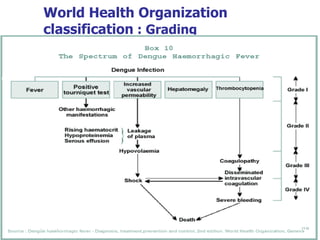 World Health Organization classification  : Grading 